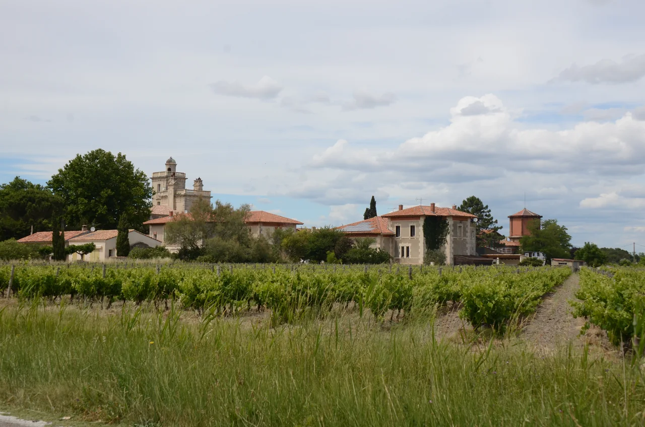 Photographie du territoire illustrant le contexte de Vauvert